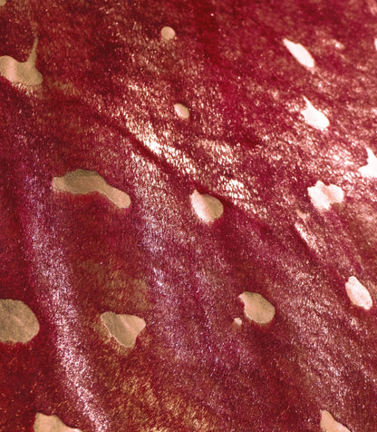 Red-Gold