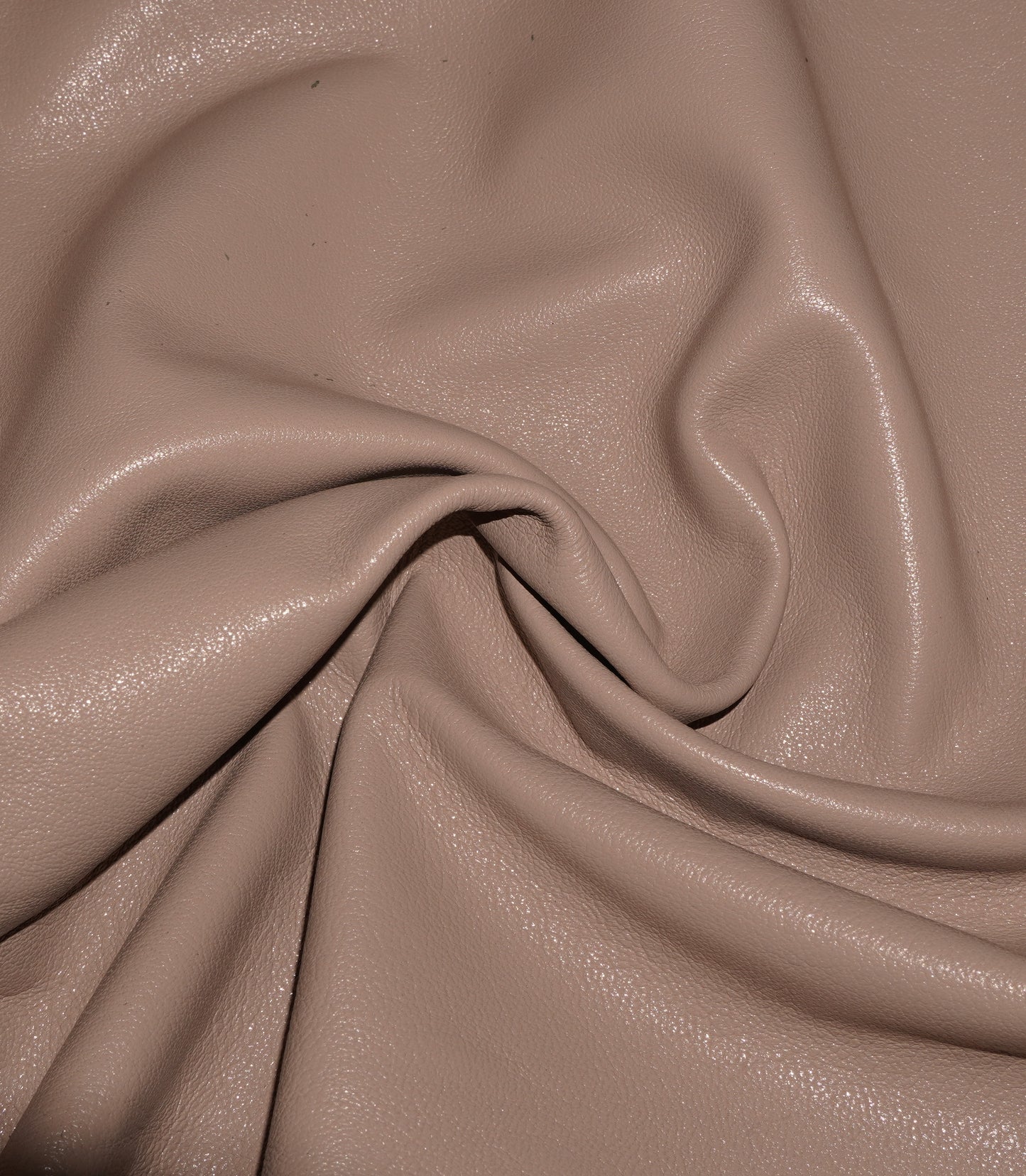 Bisque #96