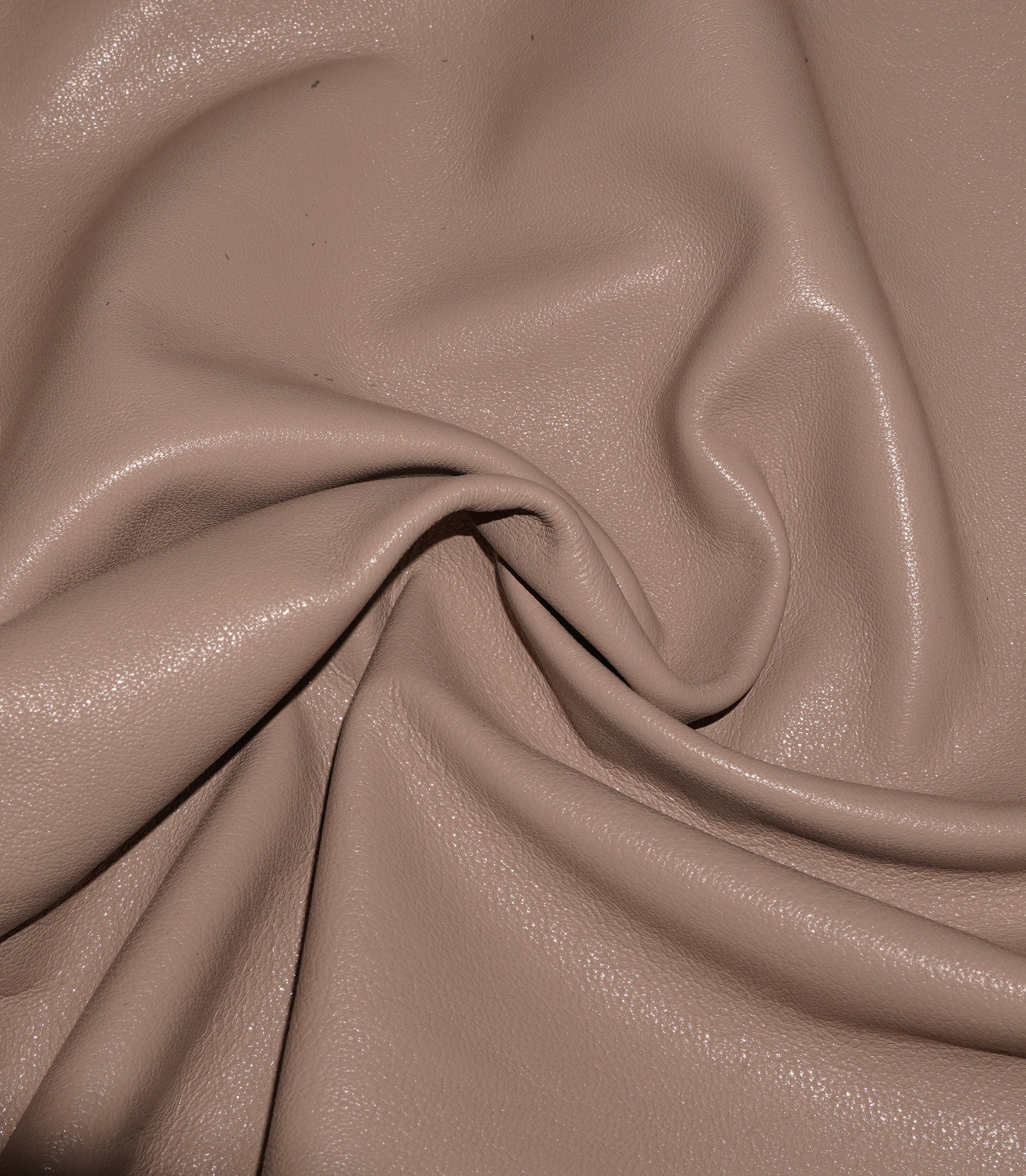 Bisque #96