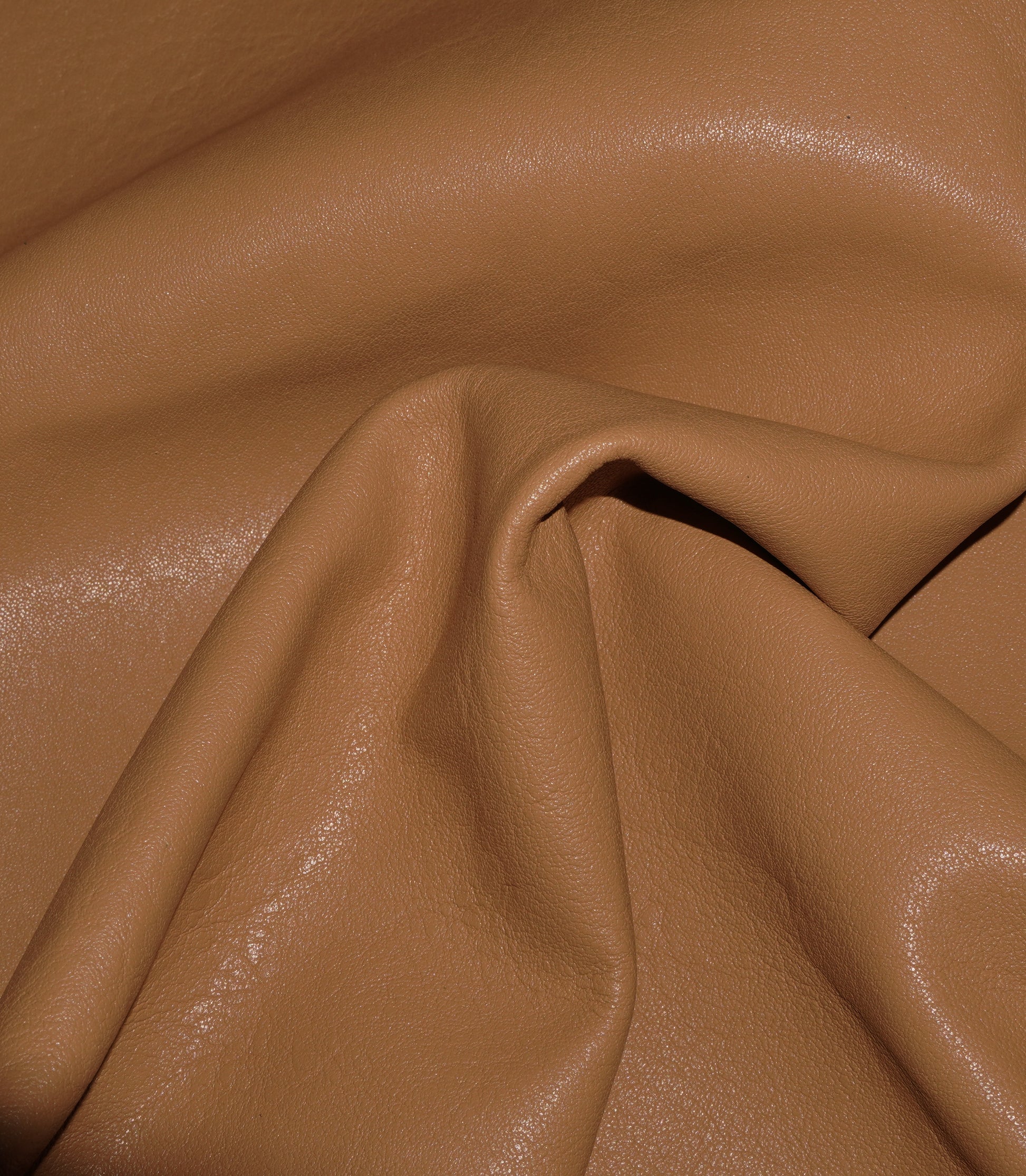 Toffee #32