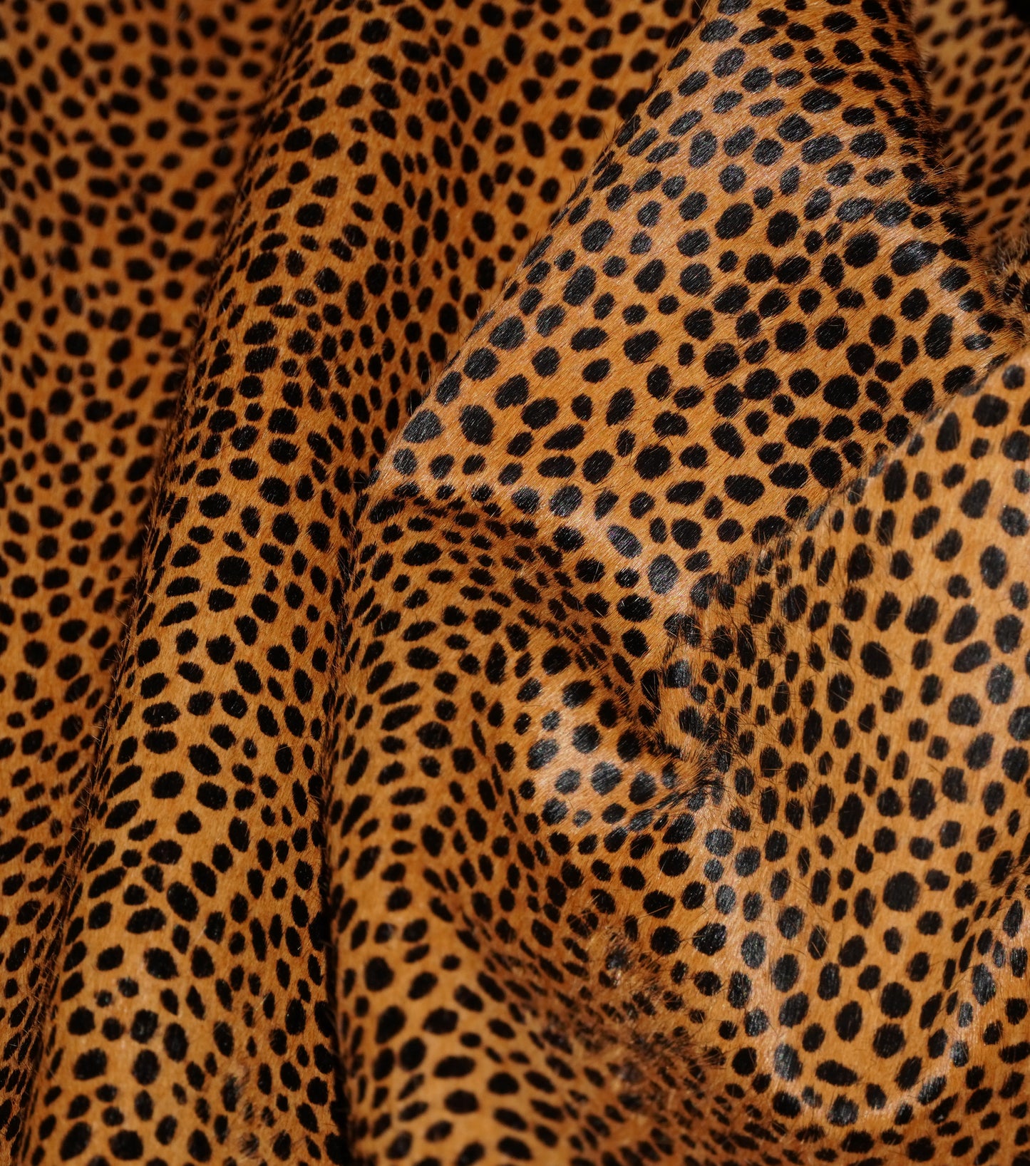 Black-Tan