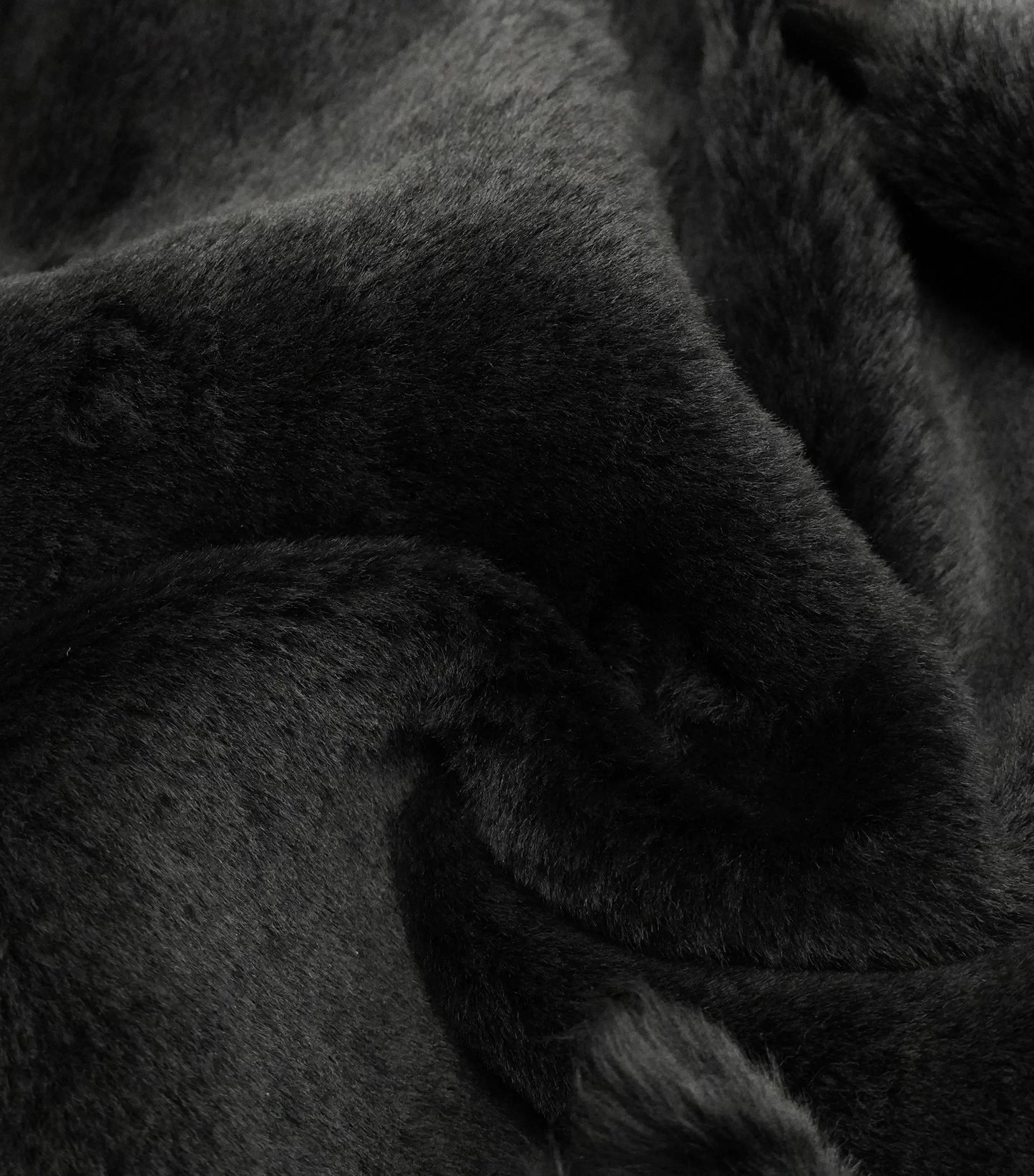 Black-Snowtop