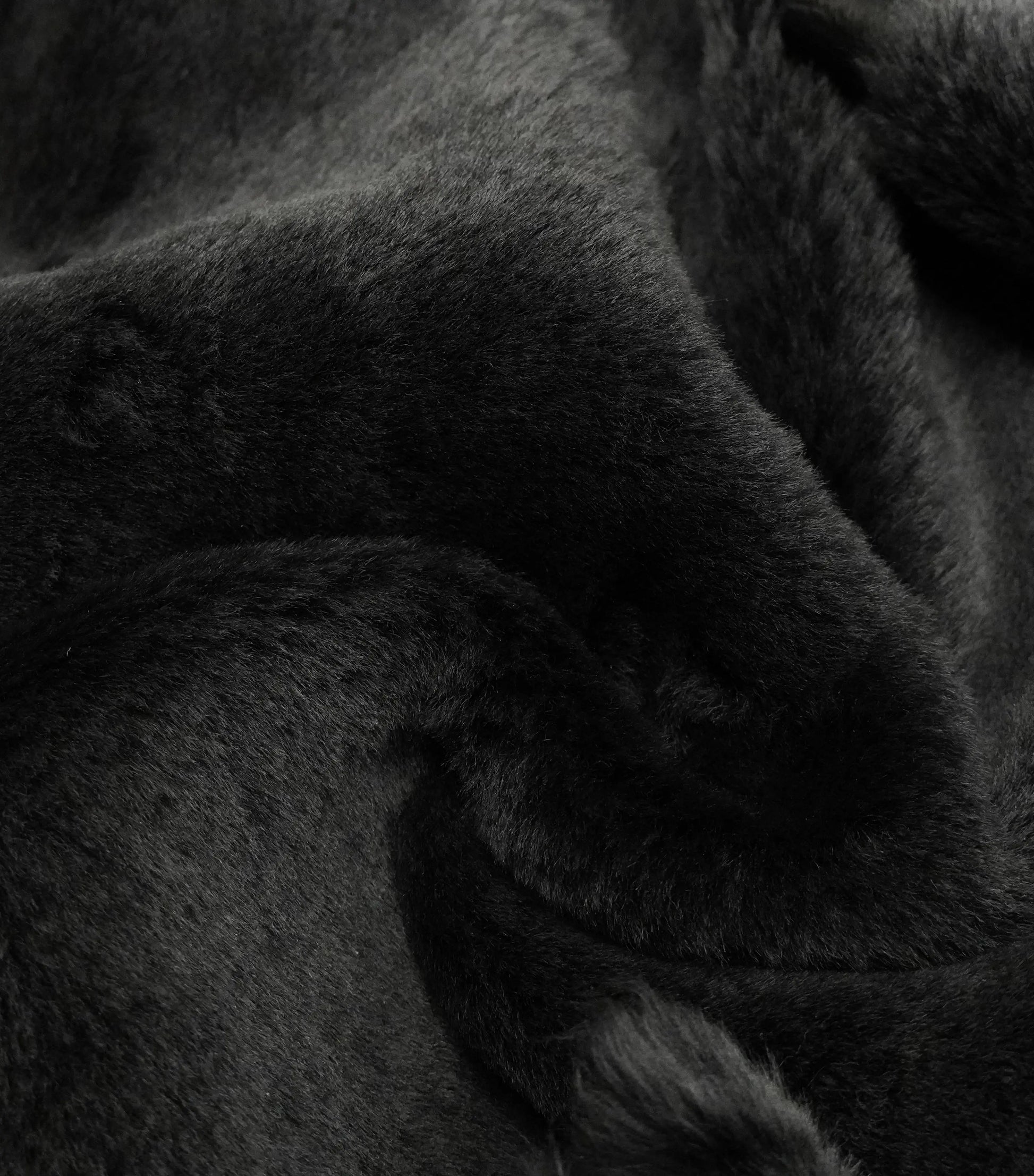 Black-Snowtop