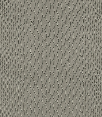 Light-Gray