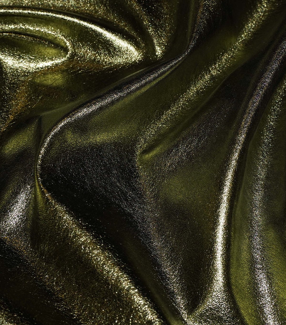 Olive-144