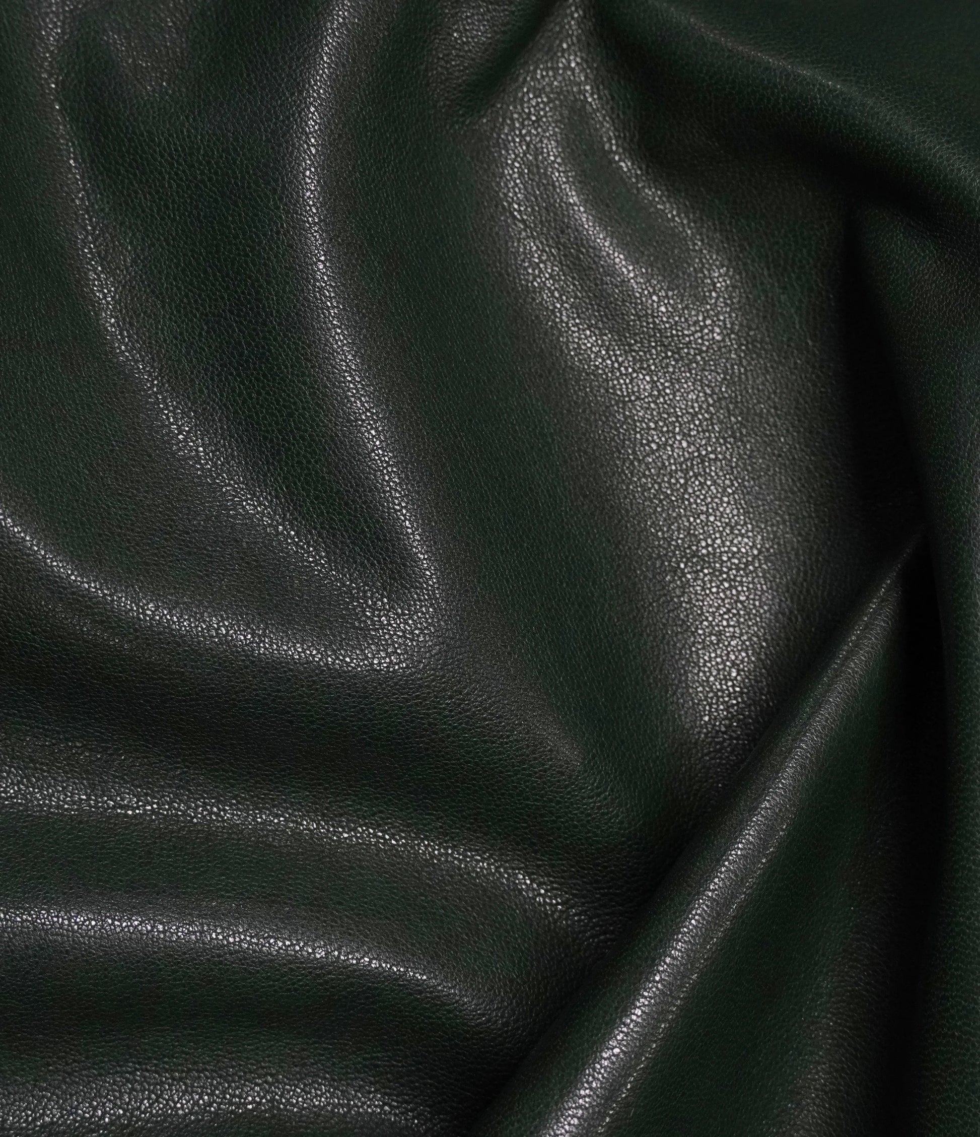 Forest-Green