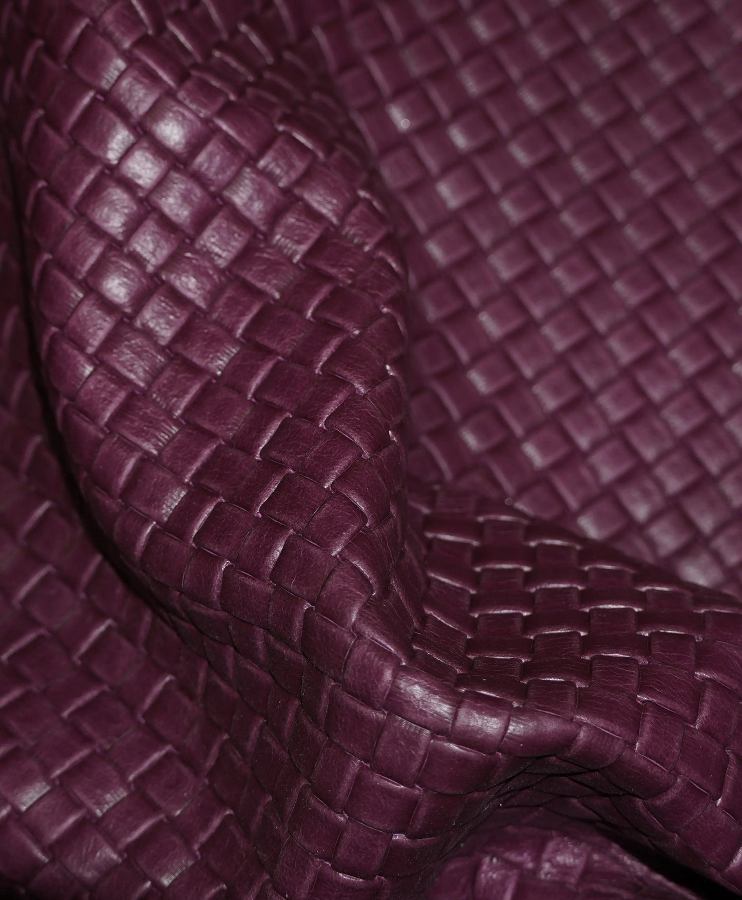 Fuschia