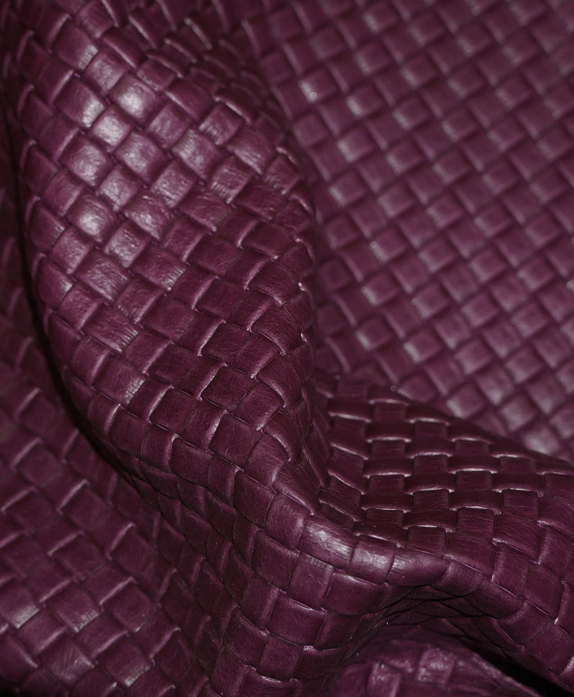 Fuschia