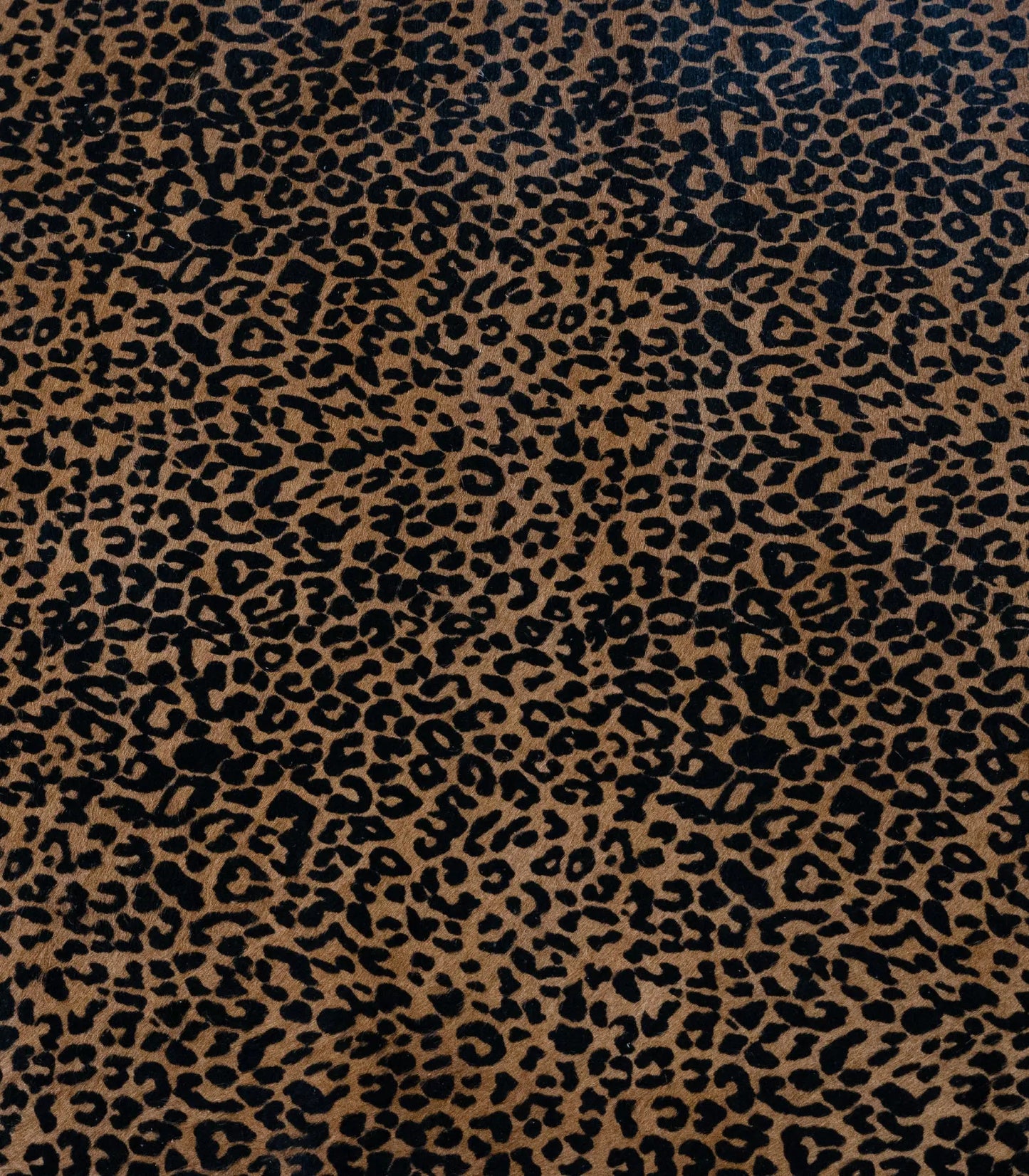 Hair-On Print Baby Leopard - United Leather