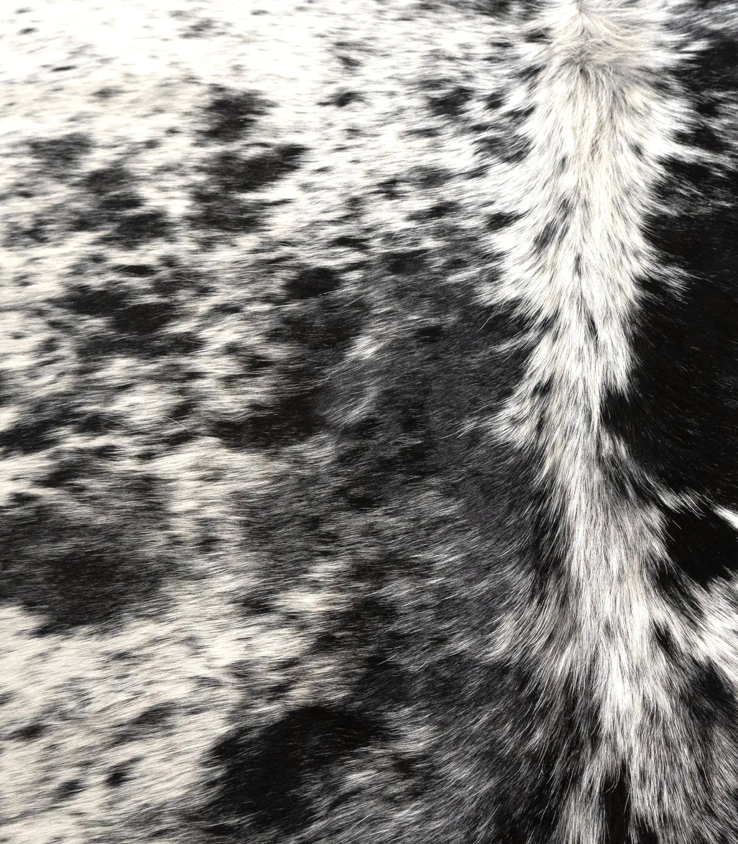Black-White