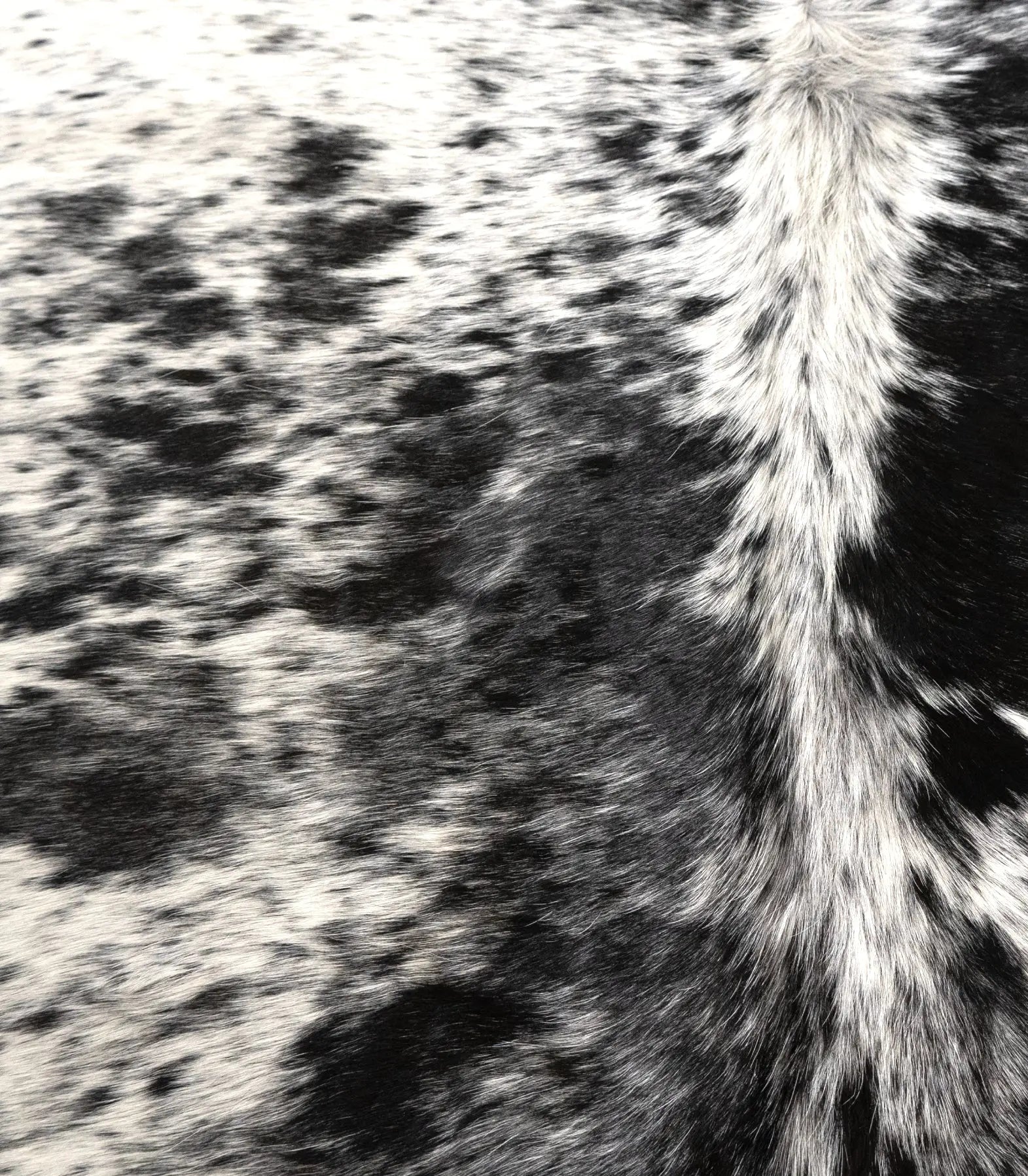 Black-White
