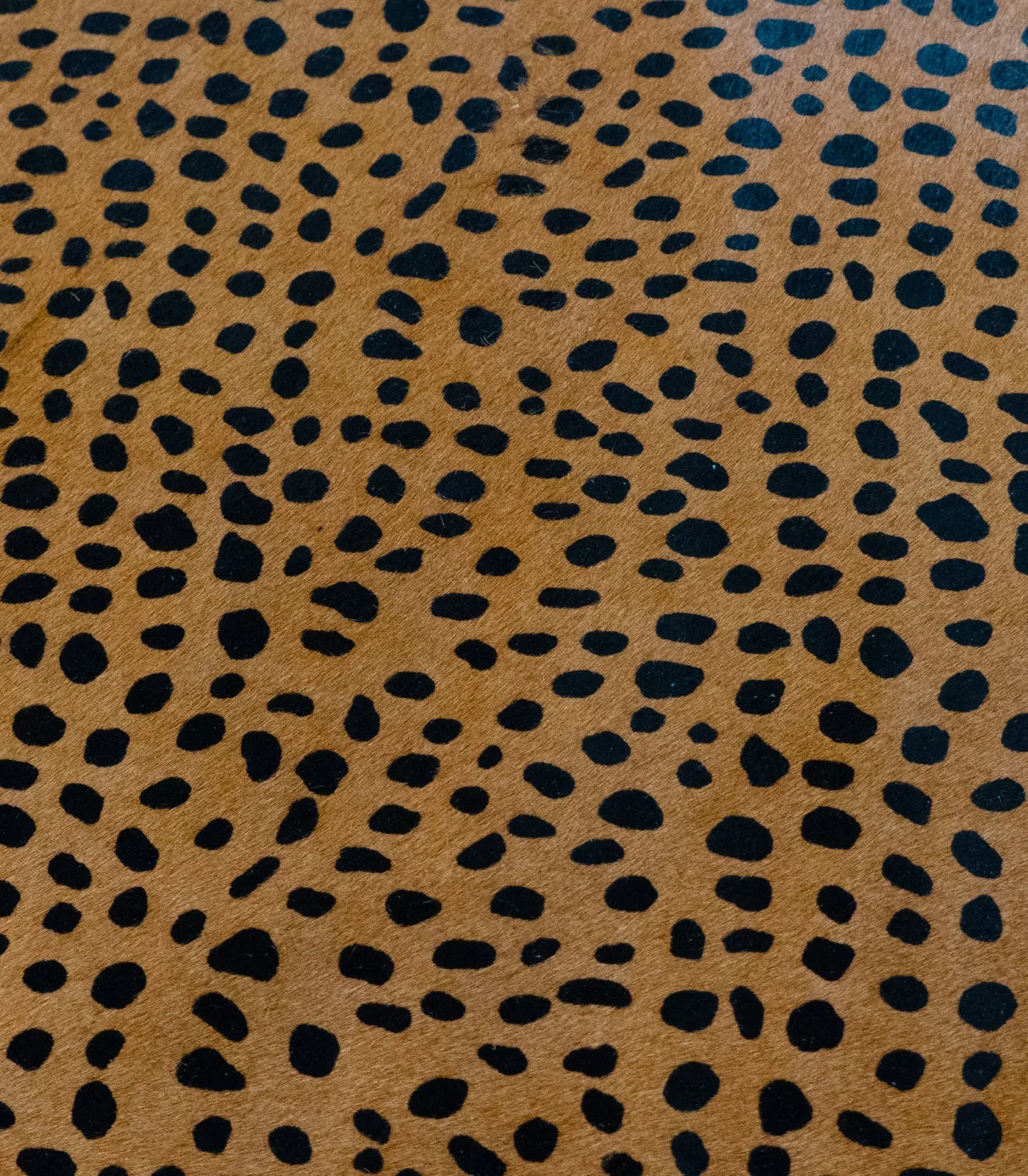 Hair-On Print Large Cheetah (black/tan) - United Leather