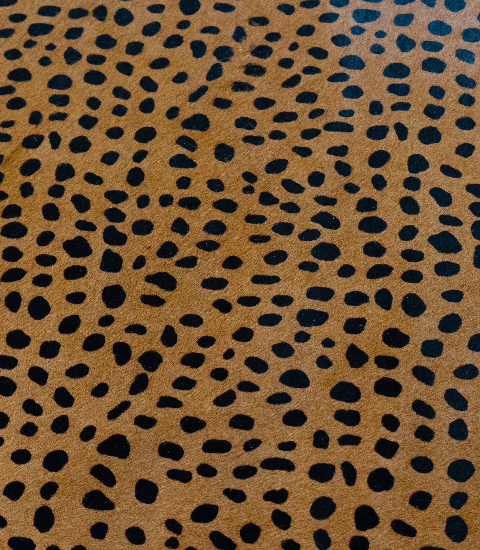 Hair-On Print Large Cheetah (black/tan) - United Leather