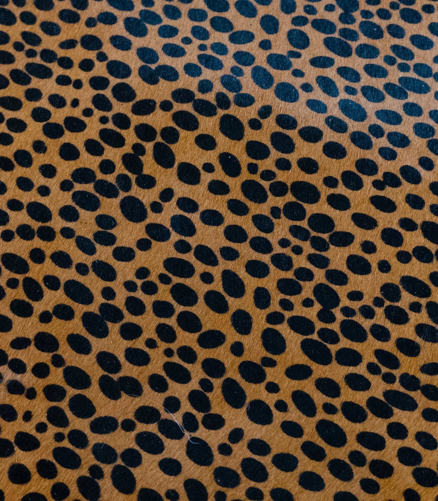Black-Tan