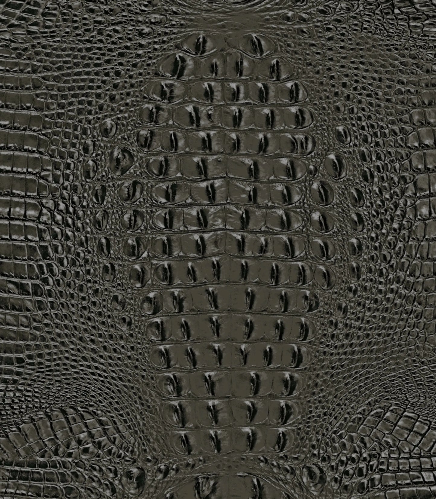 Dark-Gray