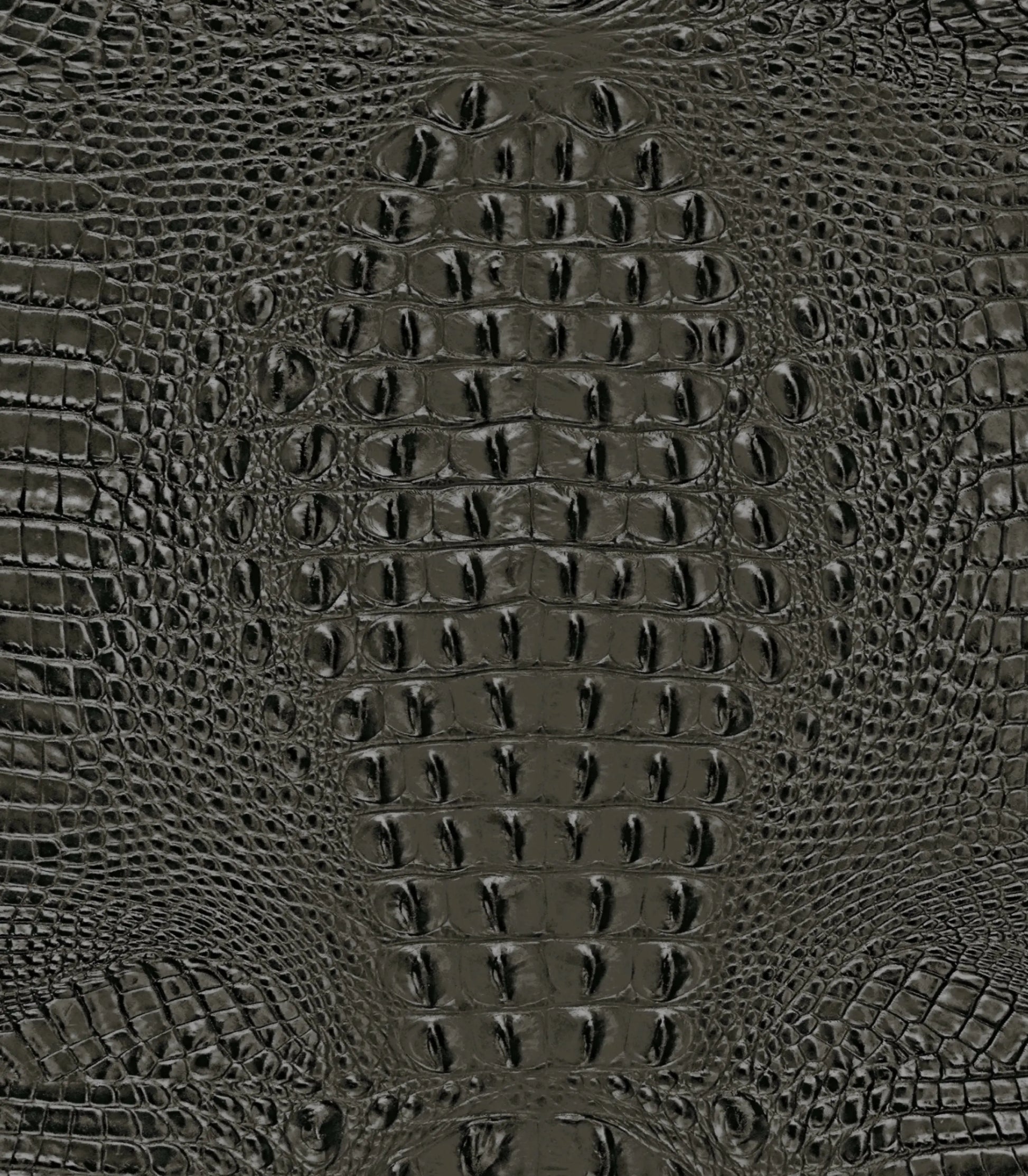 Dark-Gray