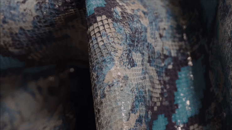 Kenya Python - United Leather