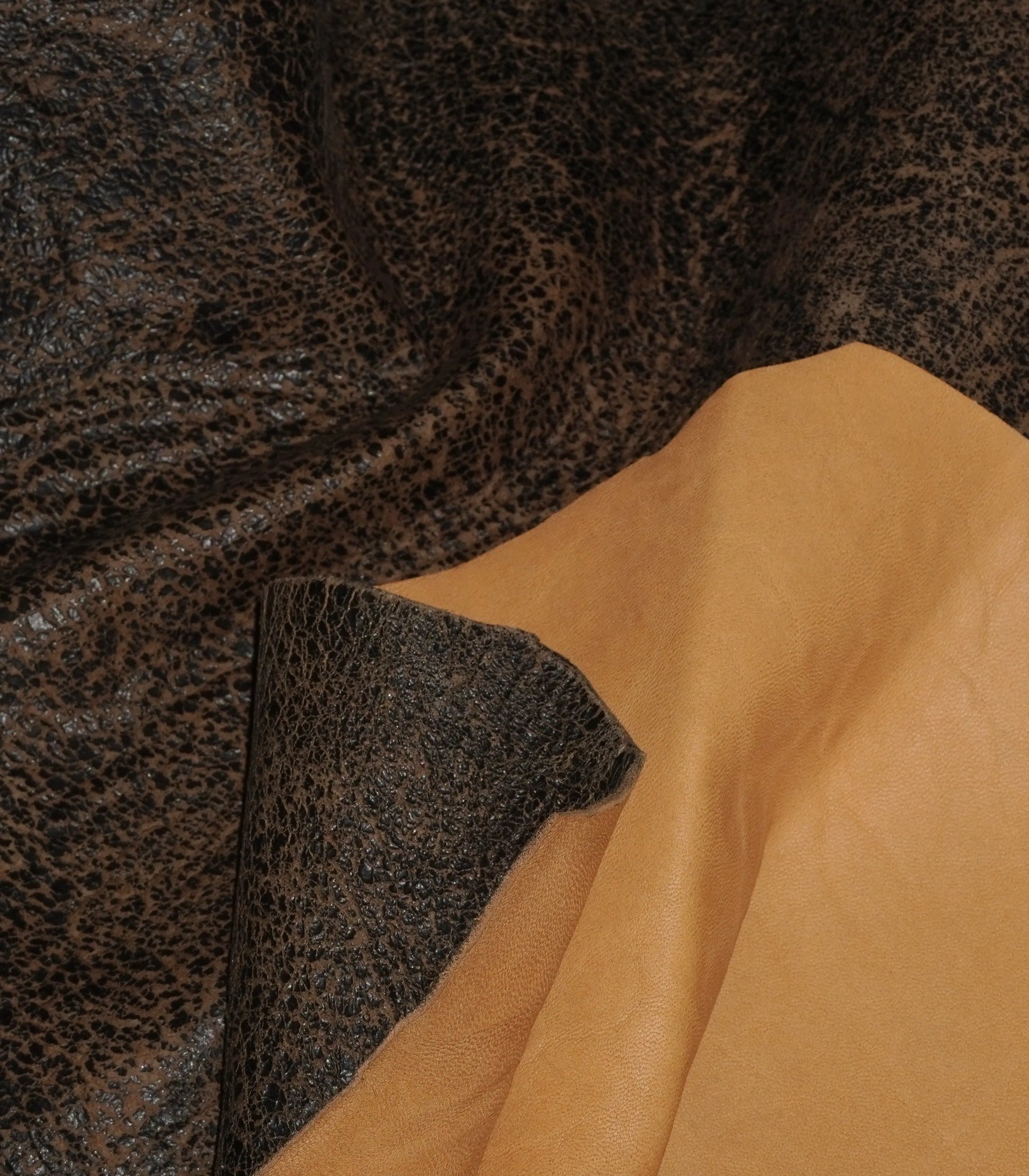 Black-Brown