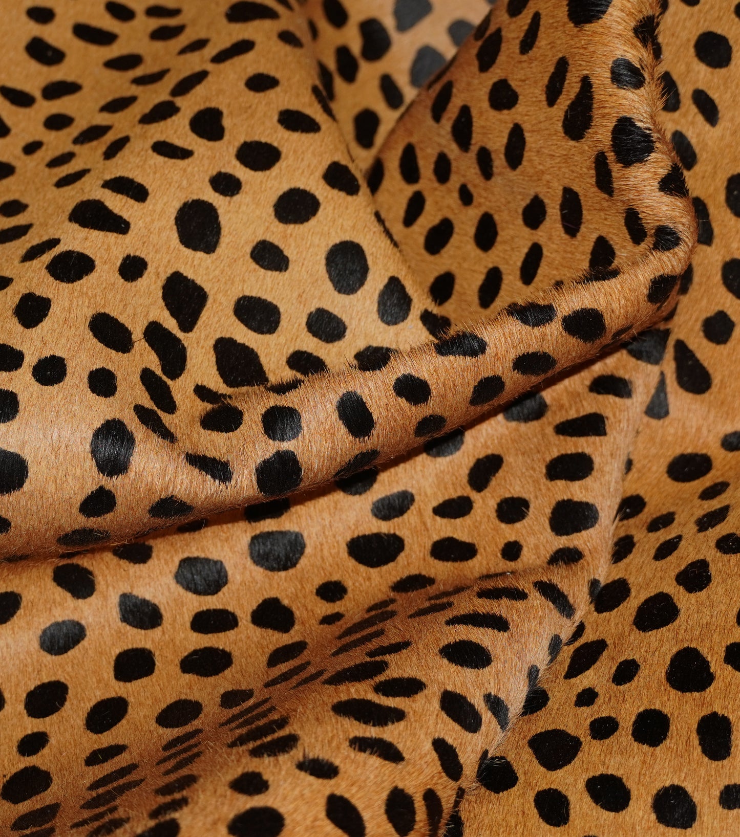 black-tan