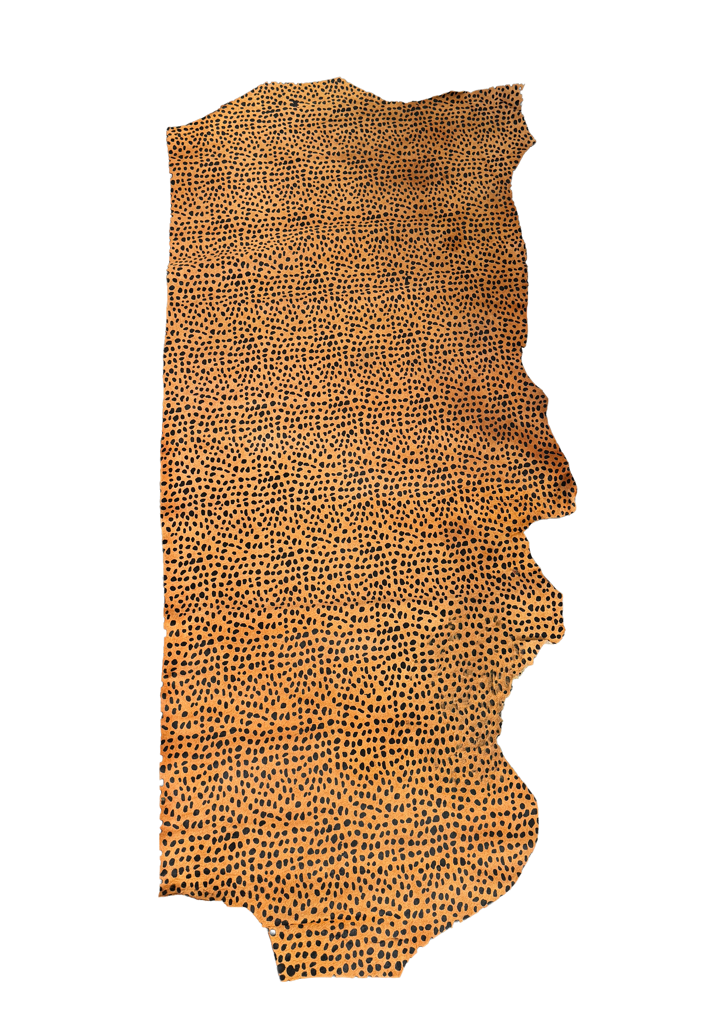 Black-Tan Hair-On Large Cheetah Print Cowhide