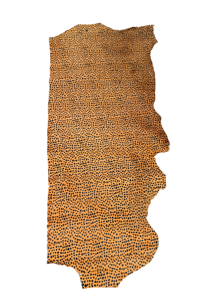Black-Tan Hair-On Large Cheetah Print Cowhide
