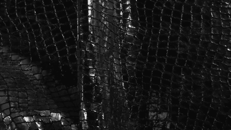Mirror Croc - United Leather