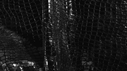 Mirror Croc - United Leather