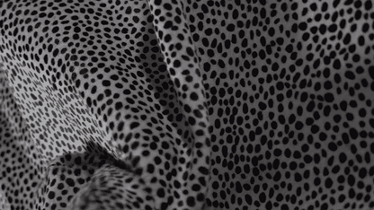 Hair-On Print Small Cheetah - United Leather