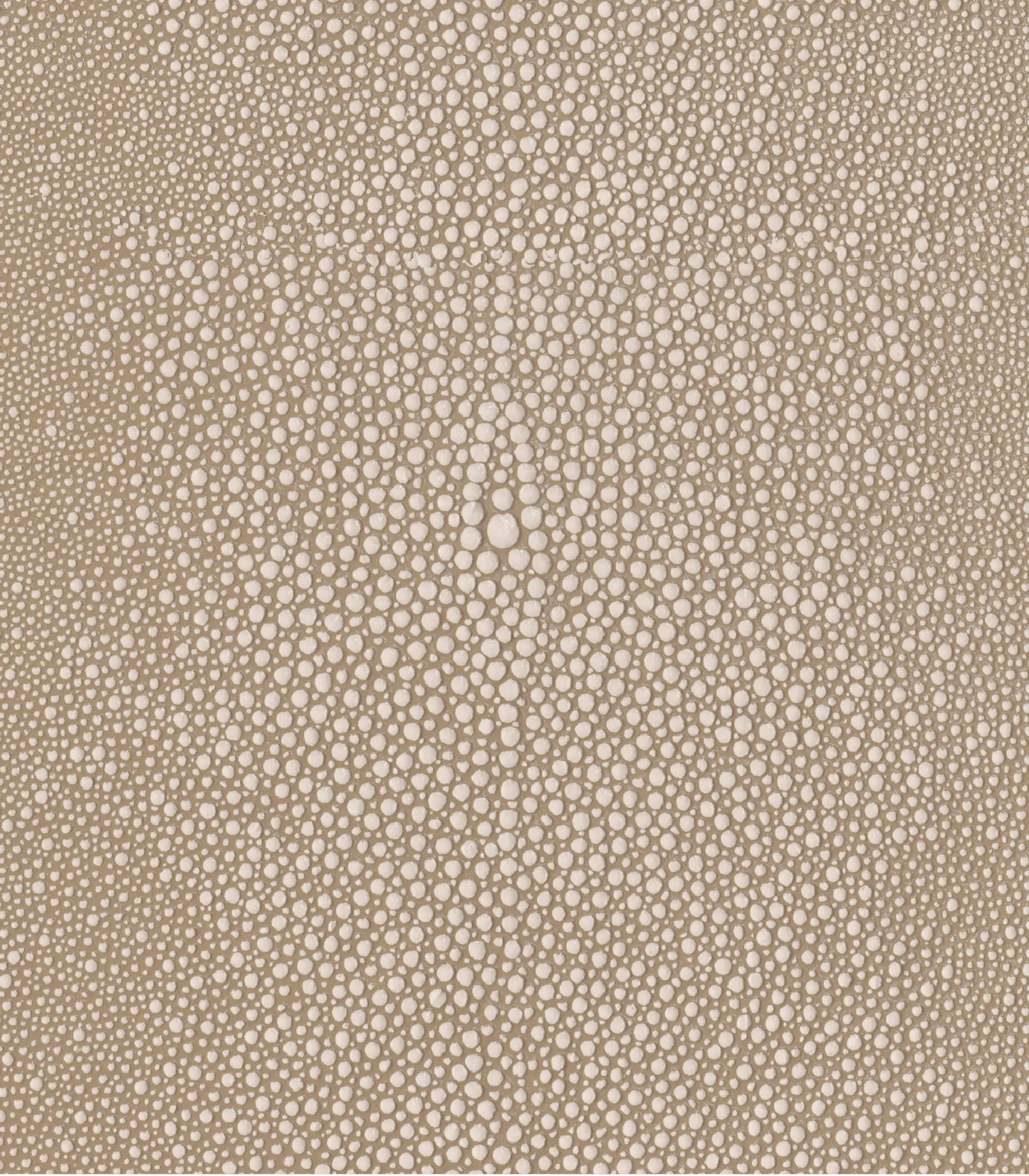 Bone