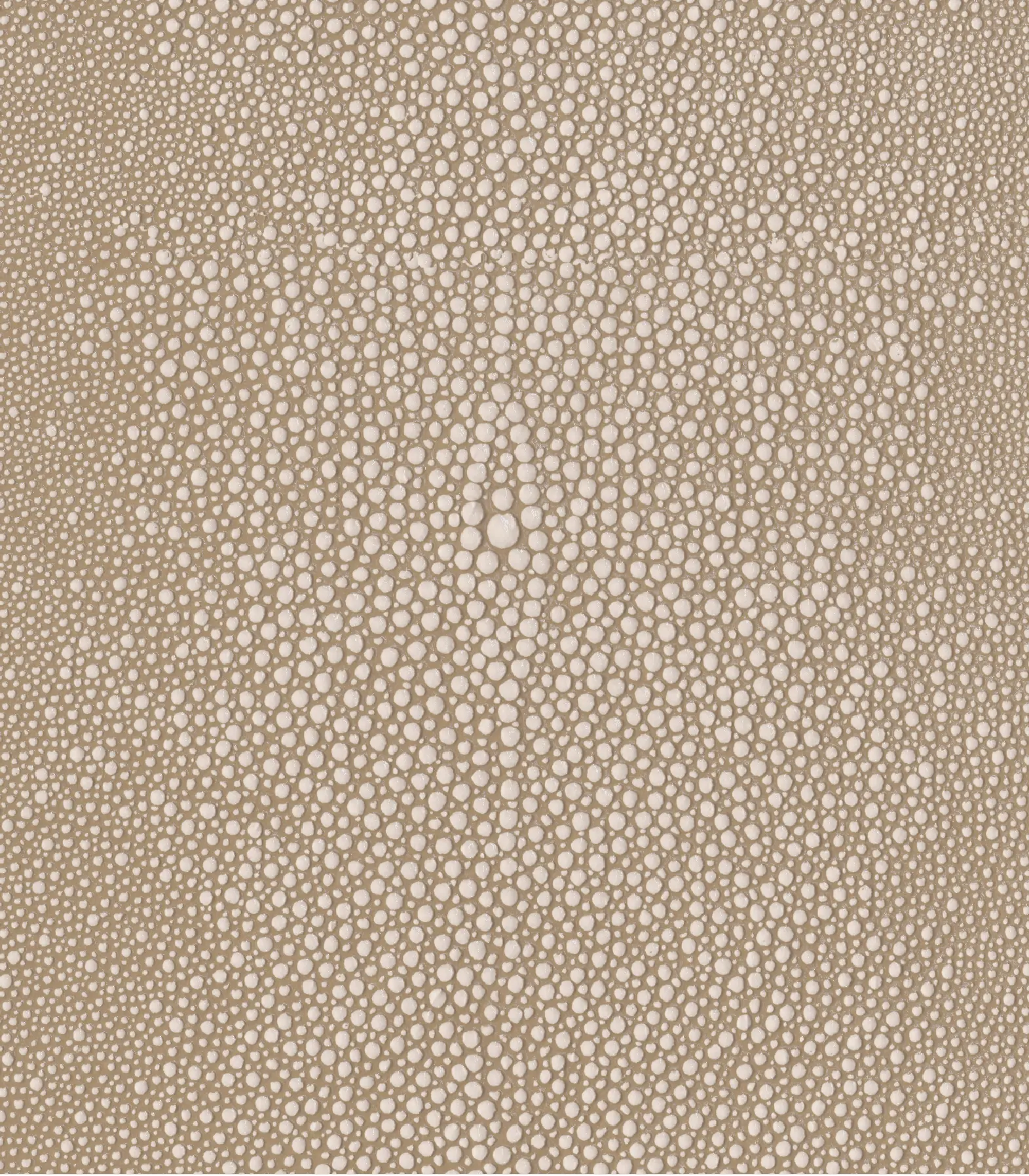 Bone