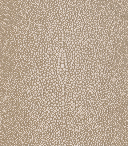 Bone