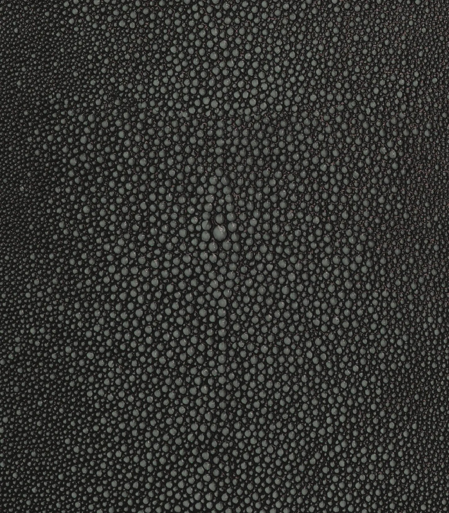 Charcoal