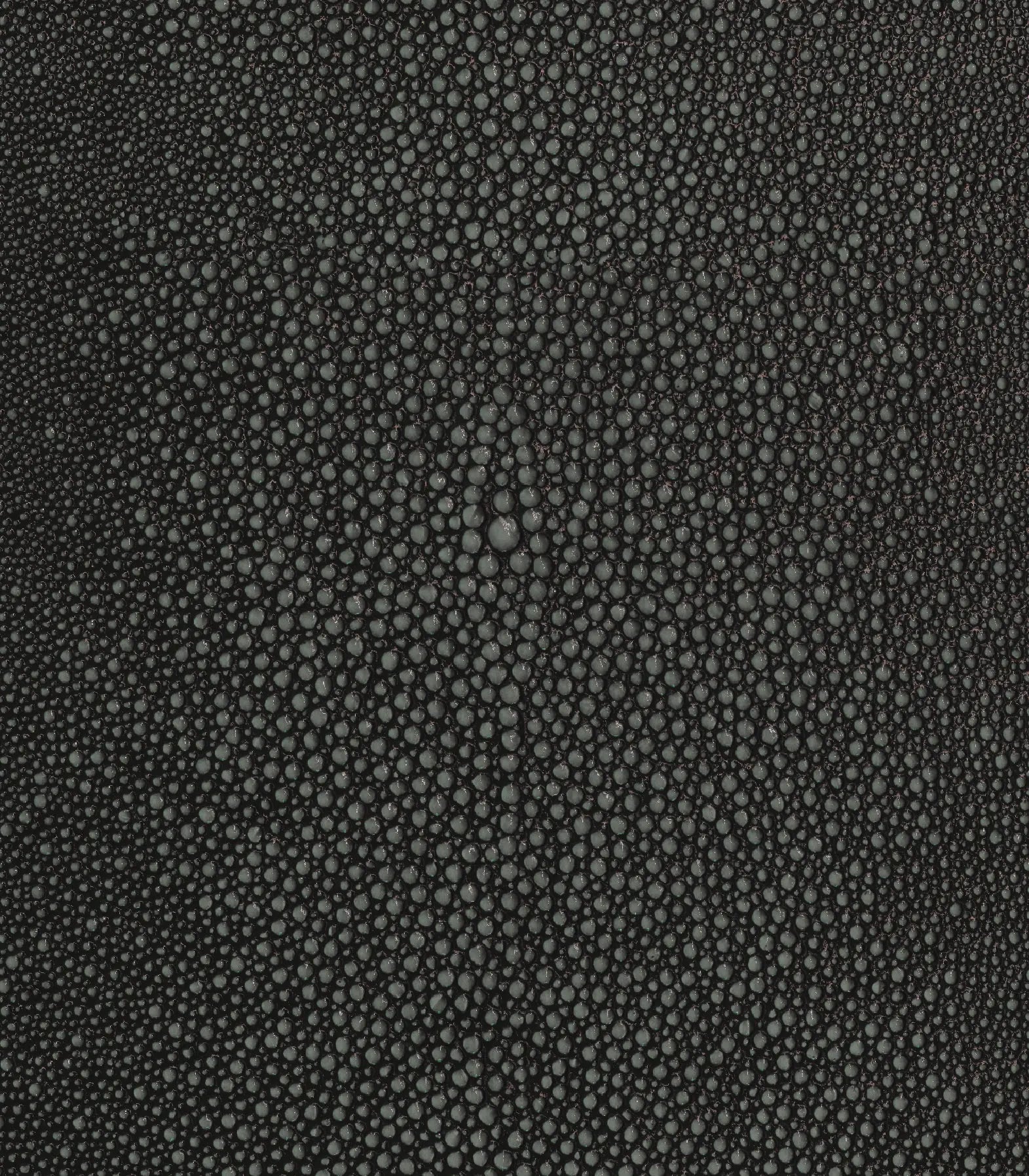 Charcoal