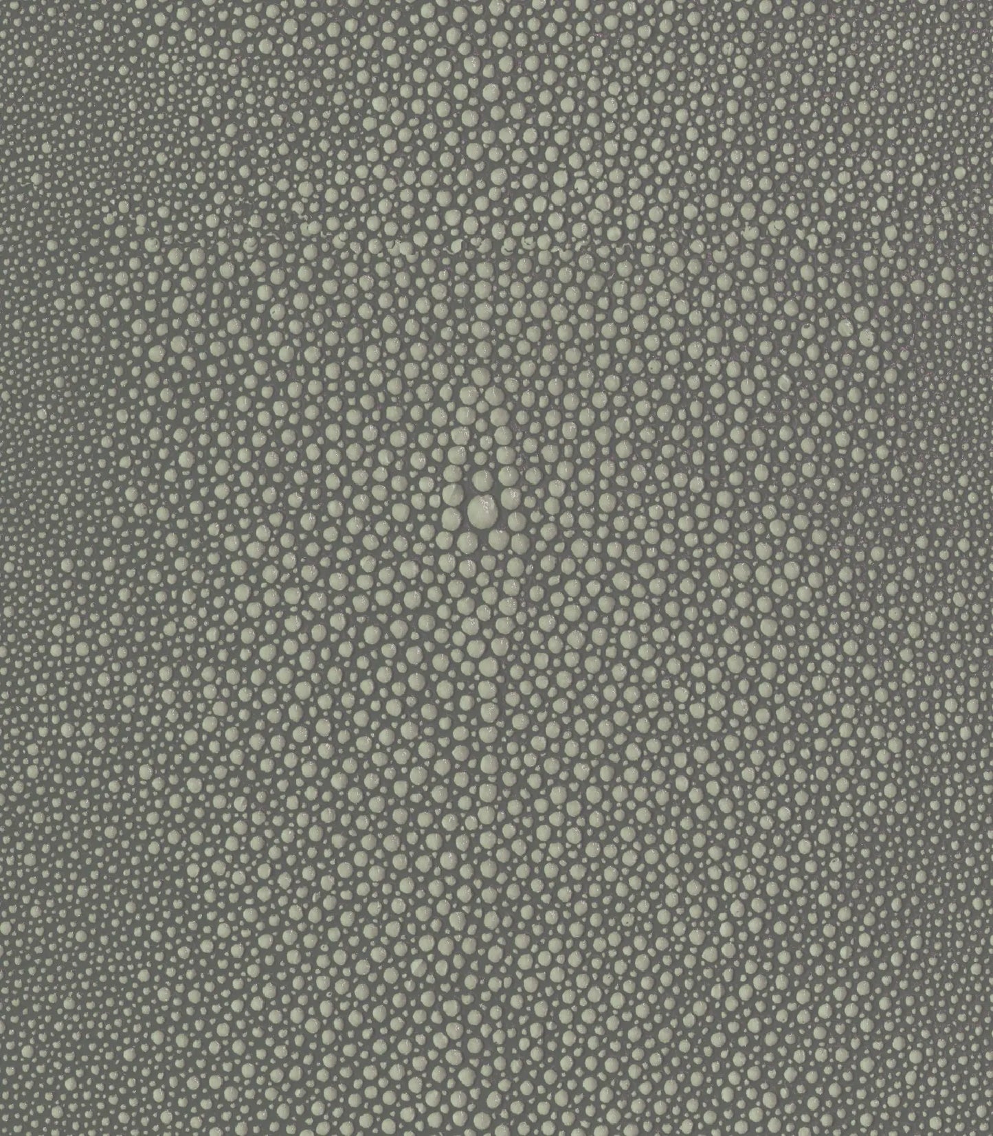 Light-Gray