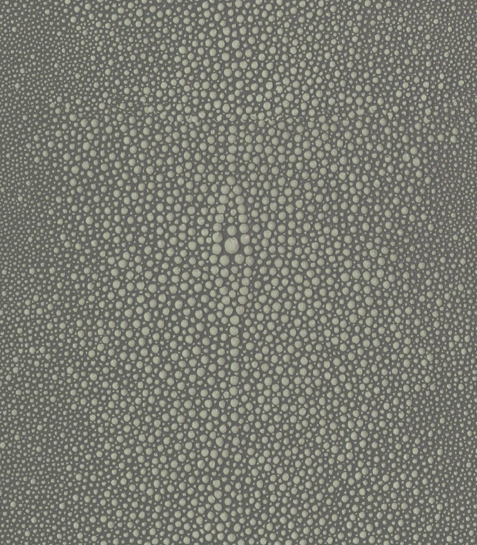 Light-Gray