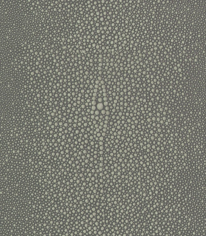 Light-Gray
