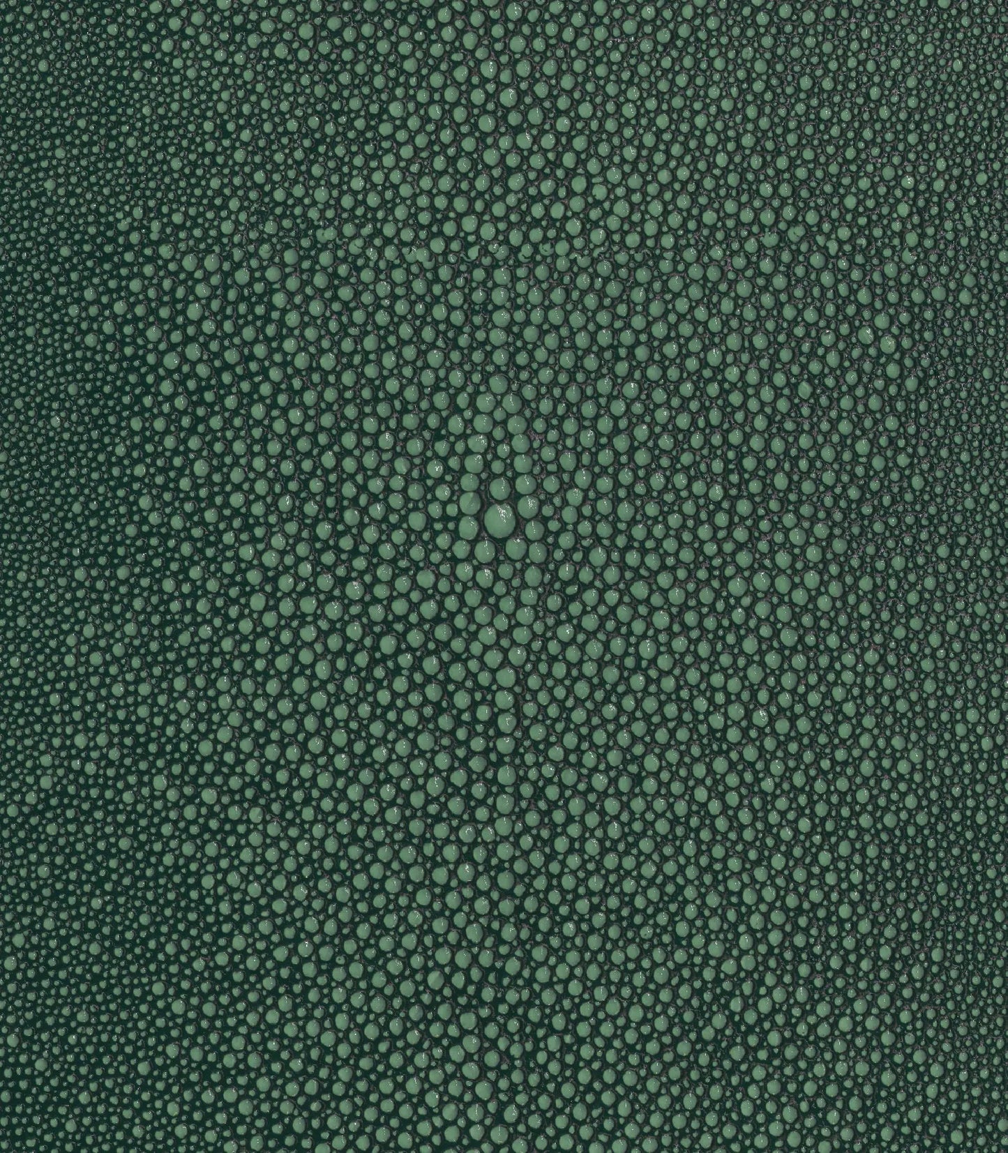 Seafoam
