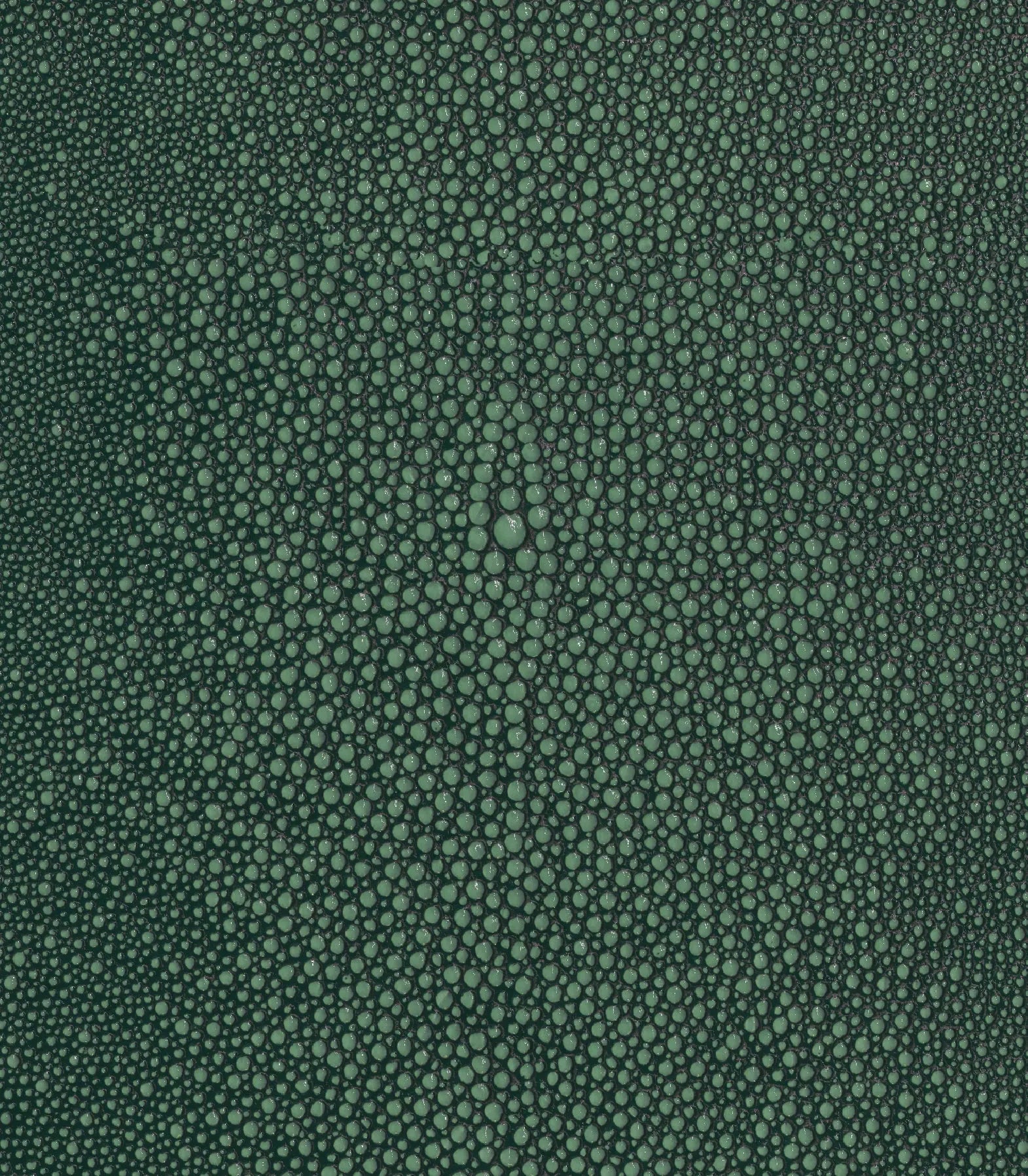 Seafoam