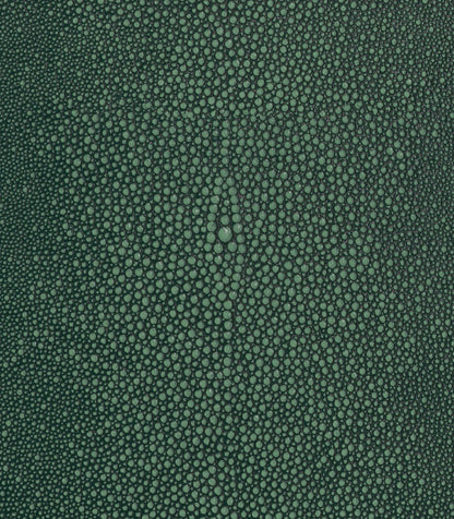 Seafoam