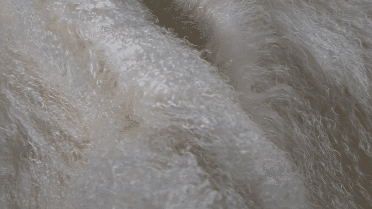 Mongolian Fur (plate) - United Leather